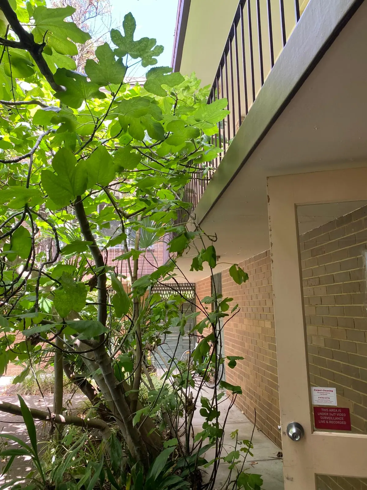 Completed concrete repairs at 26 Lansdowne Road, photograph 6